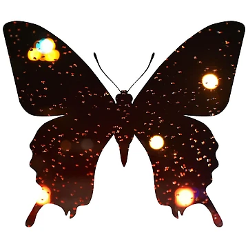 Imagen de la obra Fire Butterfly de Patternsonly