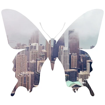 Imagen de la obra City Butterfly de Patternsonly