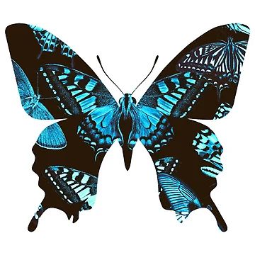 Imagen de la obra Butterflys inside blue butterfly de Patternsonly