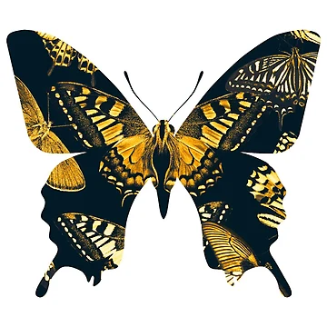 Imagen de la obra Butterflys inside yellow butterfly de Patternsonly
