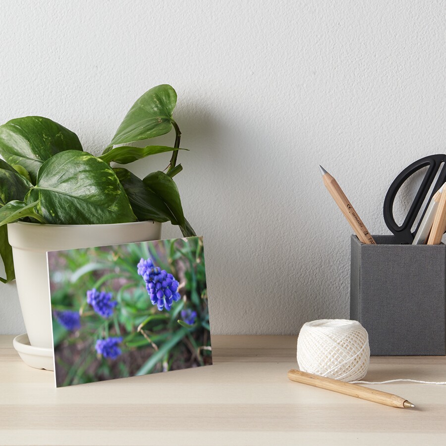 Item preview, Art Board Print designed and sold by Middy's Art.