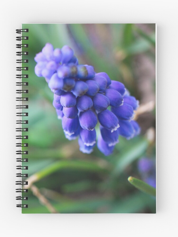 Thumbnail 1 of 3, Journal, Violet Ruffles designed and sold by MidnightRose77.