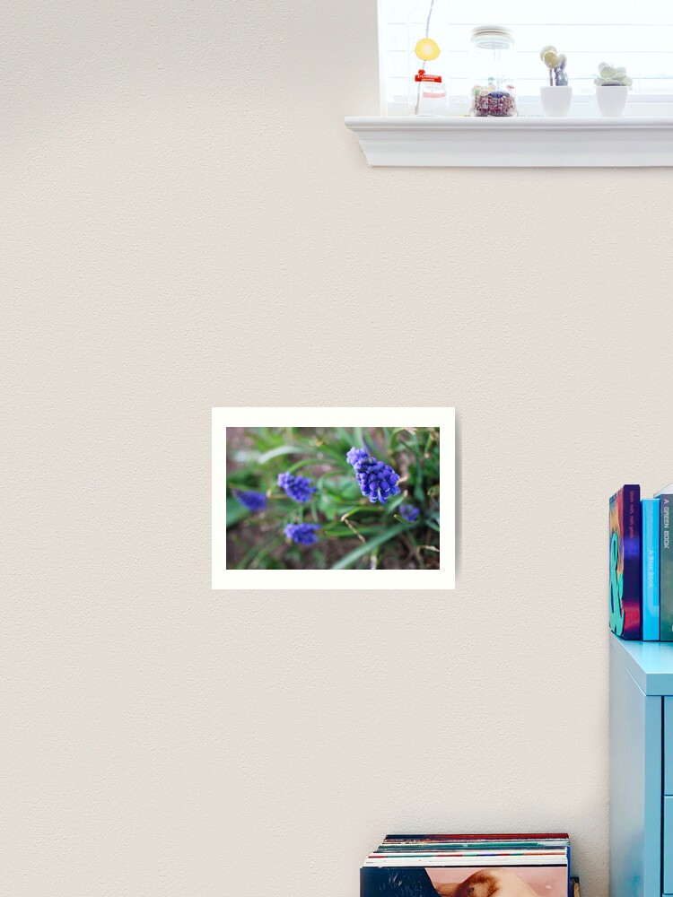 Thumbnail 2 of 3, Art Print, Violet Ruffles designed and sold by MidnightRose77.