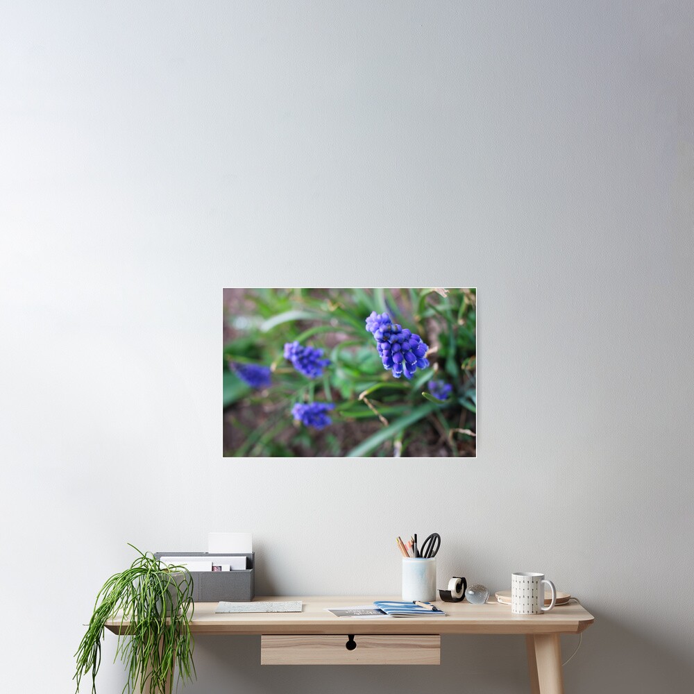 Item preview, Poster designed and sold by MidnightRose77.