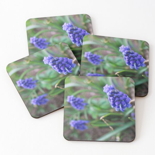 Item preview, Violet Ruffles designed and sold by Middy's Art.