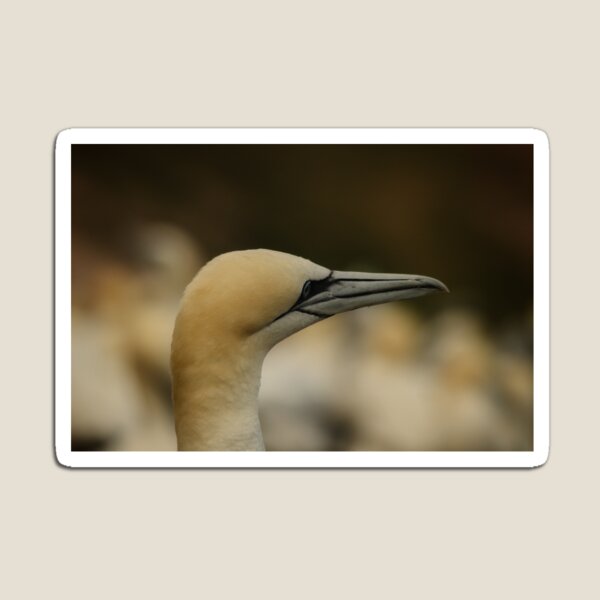 Item preview, One in a million #5 designed and sold by photobypj.