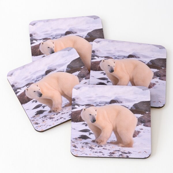 Item preview,  Polar Bear canvas, Polar Bear , animal, animals, Polar Bear wall art, Polar Bear artwork, wild, Polar Bear art,Polar Bear painting designed and sold by eyesight4vision.