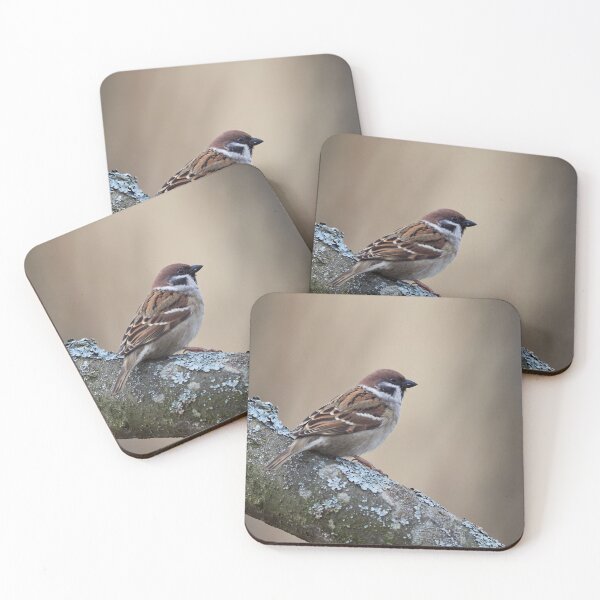 Item preview, The soft backlight. Eurasian tree sparrow designed and sold by Jouko Lehto Photography.