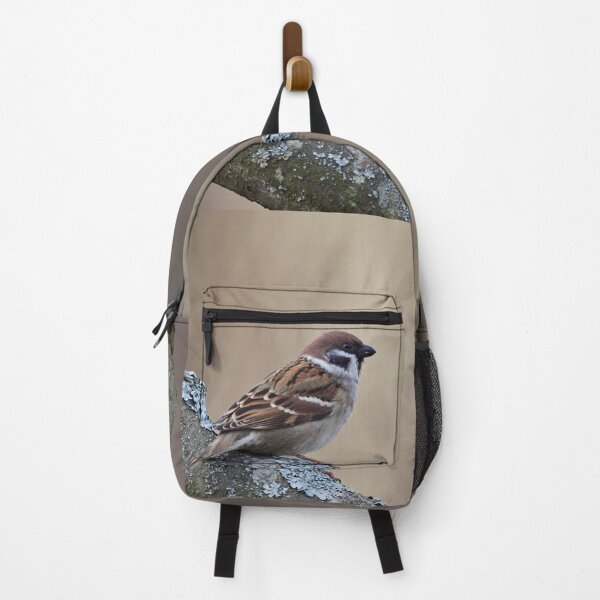 Item preview, The soft backlight. Eurasian tree sparrow designed and sold by Jouko Lehto Photography.
