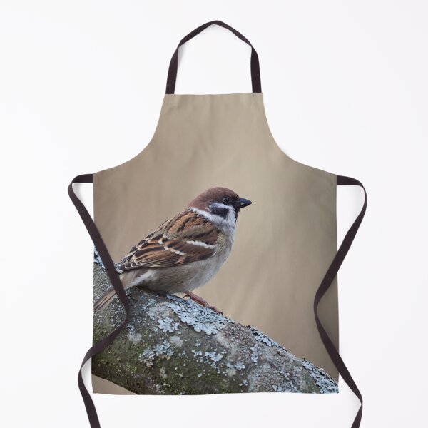 Item preview, The soft backlight. Eurasian tree sparrow designed and sold by Jouko Lehto Photography.