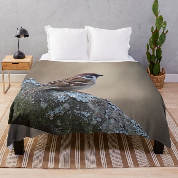 Item preview, The soft backlight. Eurasian tree sparrow designed and sold by Jouko Lehto Photography.