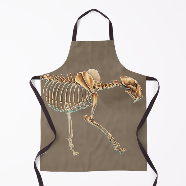 Item preview, Machairodus Aphanistus Skeleton Study (No Labels) designed and sold by Thedragonofdoom.