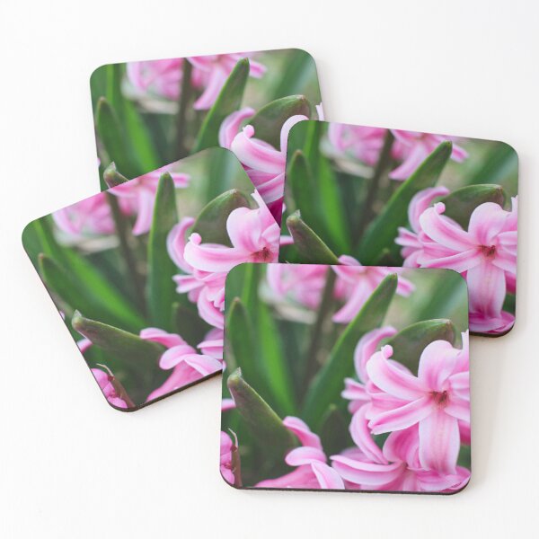 Item preview, Pink Hyacinths designed and sold by Middy's Art.