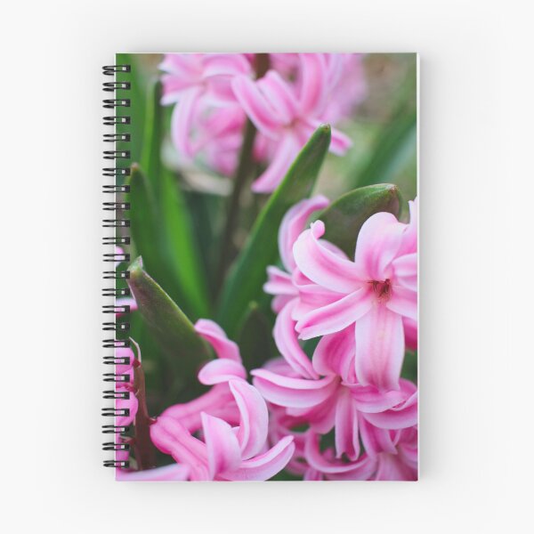 Item preview, Pink Hyacinths designed and sold by Middy's Art.