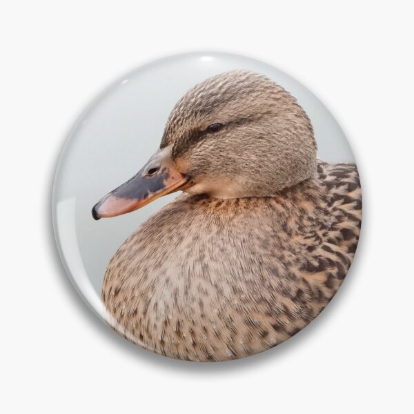 Item preview, A Beautiful Female Mallard Duck designed and sold by Karen Thomson.