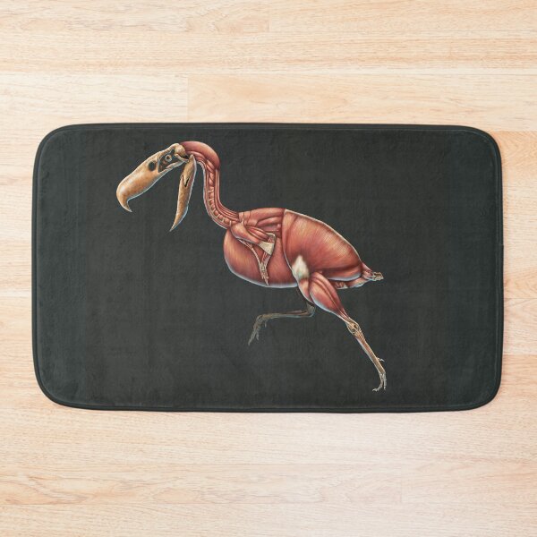 Item preview, Kelenken Guillermoi Muscle Study (No Labels) designed and sold by Thedragonofdoom.