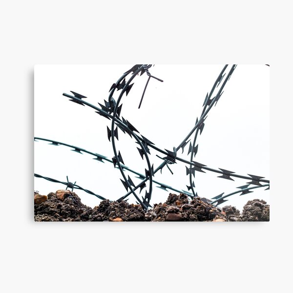 Barbed wire spiked fence urban brutalist minimalist Metal Print