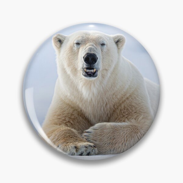Item preview,  Polar Bear canvas, Polar Bear , animal, animals, Polar Bear wall art, Polar Bear artwork, wild, Polar Bear art,Polar Bear painting designed and sold by eyesight4vision.