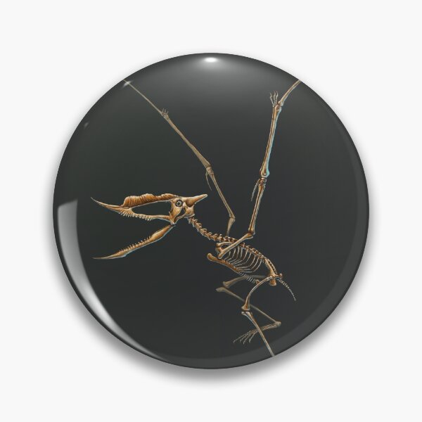 Item preview, Dsungaripterus Weii Skeleton Study (No Labels) designed and sold by Thedragonofdoom.