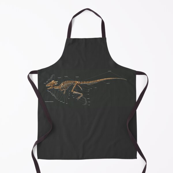 Item preview, Pachycephalosaurus Wyomingensis Study designed and sold by Thedragonofdoom.