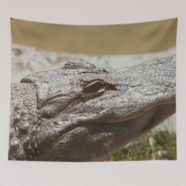 Item preview, Gator designed and sold by Nostalgia Busters.