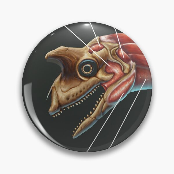 Item preview, Shringasaurus Indicus Muscle Study designed and sold by Thedragonofdoom.