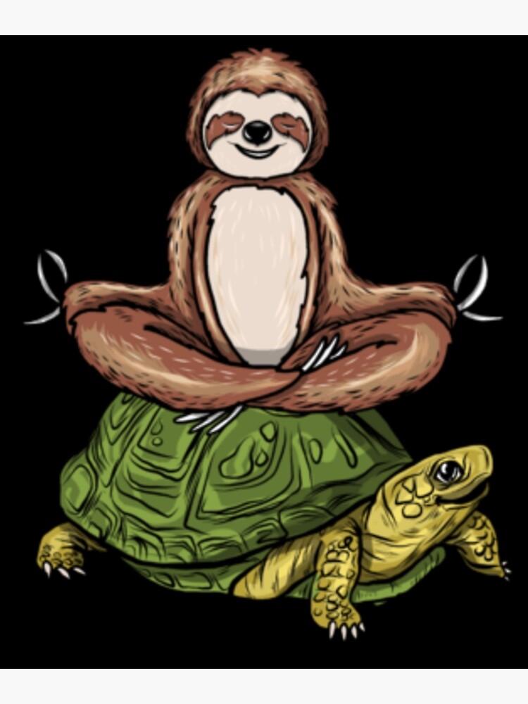 Sloth Riding Turtle Meditation Slow Down & T Shirt Design Sloth Riding Turtle Meditation Slow Down & T Shirt Design