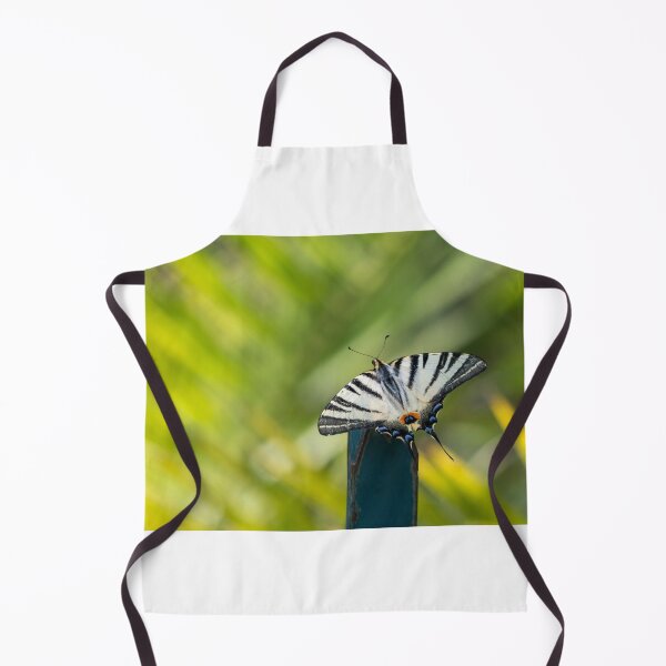 Item preview, Scarce swallowtaul butterfly designed and sold by pietrofoto.