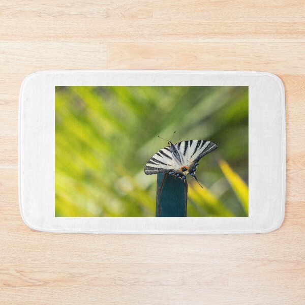 Item preview, Scarce swallowtaul butterfly designed and sold by pietrofoto.