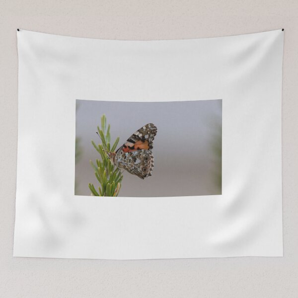Item preview, Painted lady butterfly designed and sold by pietrofoto.