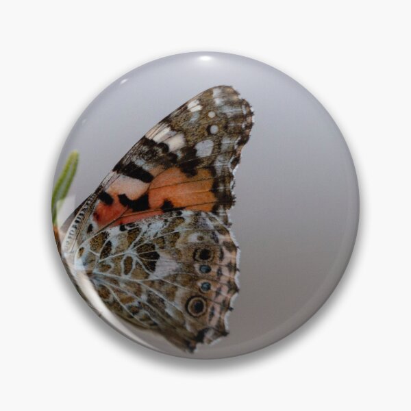 Item preview, Painted lady butterfly designed and sold by pietrofoto.