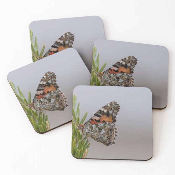 Item preview, Painted lady butterfly designed and sold by pietrofoto.
