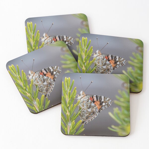 Item preview, Painted lady butterfly designed and sold by pietrofoto.