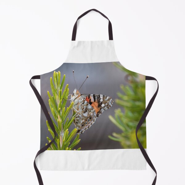 Item preview, Painted lady butterfly designed and sold by pietrofoto.