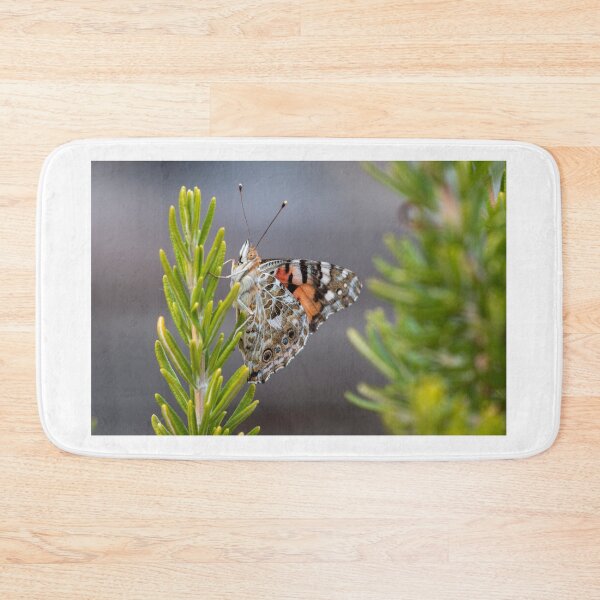 Item preview, Painted lady butterfly designed and sold by pietrofoto.