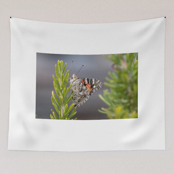 Item preview, Painted lady butterfly designed and sold by pietrofoto.