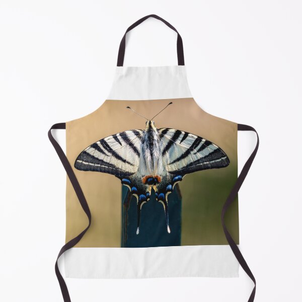Item preview, Scarce swallowtail butterfly designed and sold by pietrofoto.