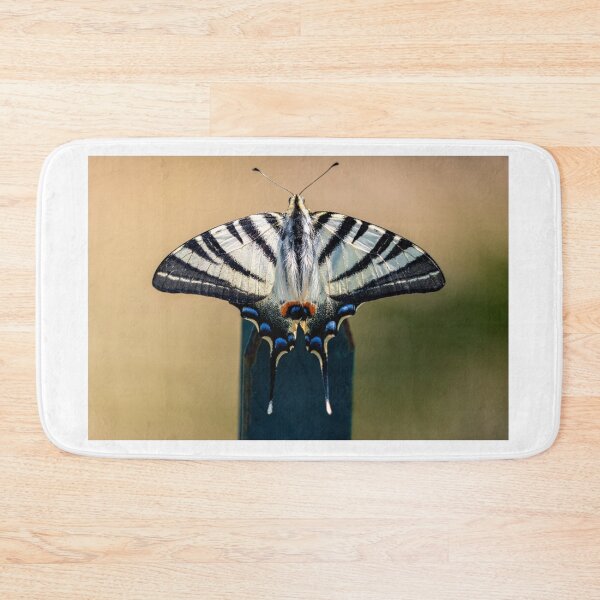 Item preview, Scarce swallowtail butterfly designed and sold by pietrofoto.