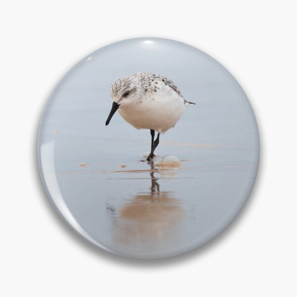 Item preview, SANDERLING designed and sold by Andrew Hocking.