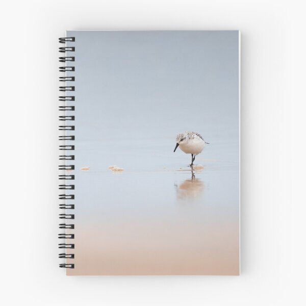 Item preview, SANDERLING designed and sold by Andrew Hocking.