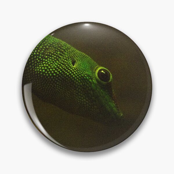 Item preview, Green Gecko designed and sold by spookydooky.