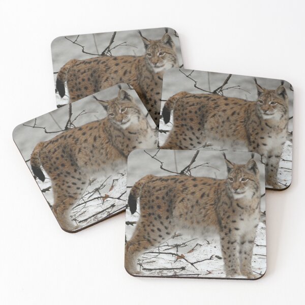 Item preview,   eurasian lynx canvas, eurasian lynx, animal, animals,  eurasian lynx wall art,  eurasian lynx artwork, wild, eurasian lynx art,  eurasian lynx painting designed and sold by eyesight4vision.