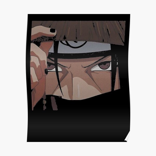 ninja Poster