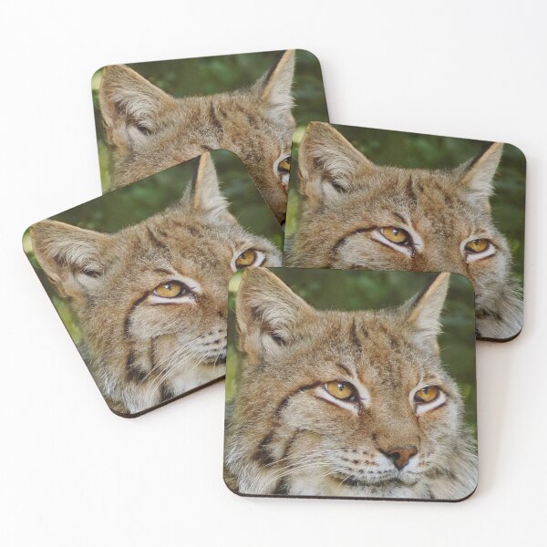 Item preview,  eurasian lynx canvas, eurasian lynx, animal, animals,  eurasian lynx wall art,  eurasian lynx artwork, wild, eurasian lynx art,  eurasian lynx painting designed and sold by eyesight4vision.