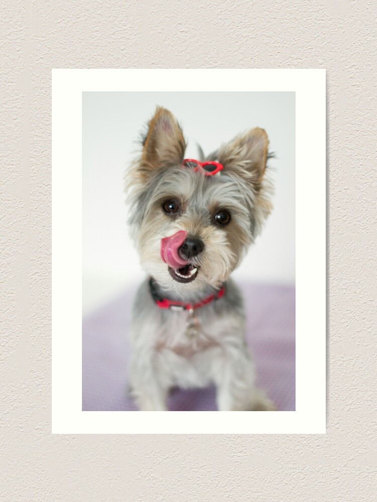 Alternate view of Yummy! Art Print