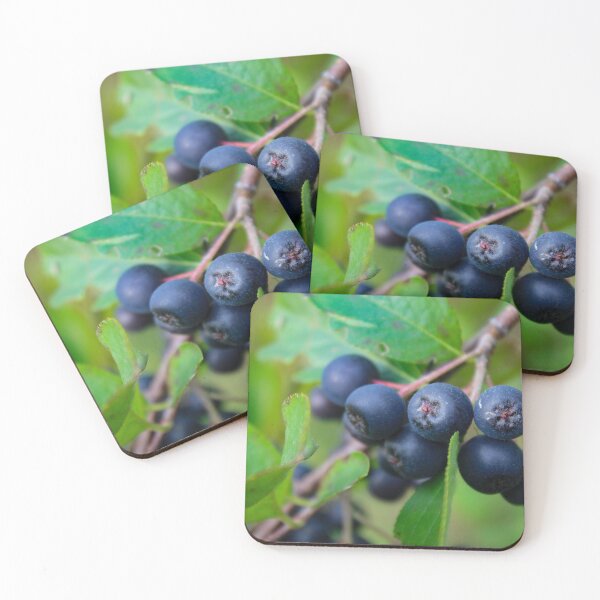 Item preview, Chokeberry on a branch with a leaves around designed and sold by Mahirov Shop.
