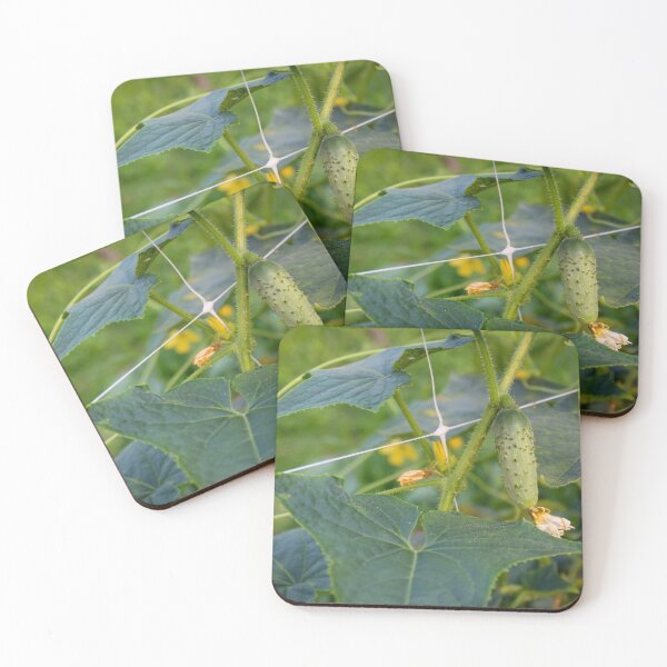 Item preview, Small gherkin hanging in the air surrounded by leaves designed and sold by Mahirov Shop.
