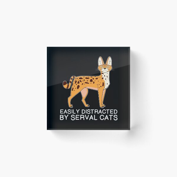 Item preview, Funny African Animal Easily Distracted By Serval Cats graphic designed and sold by jakehughes2015.