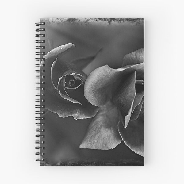 Item preview, The Black Rose designed and sold by Linda Cutche.