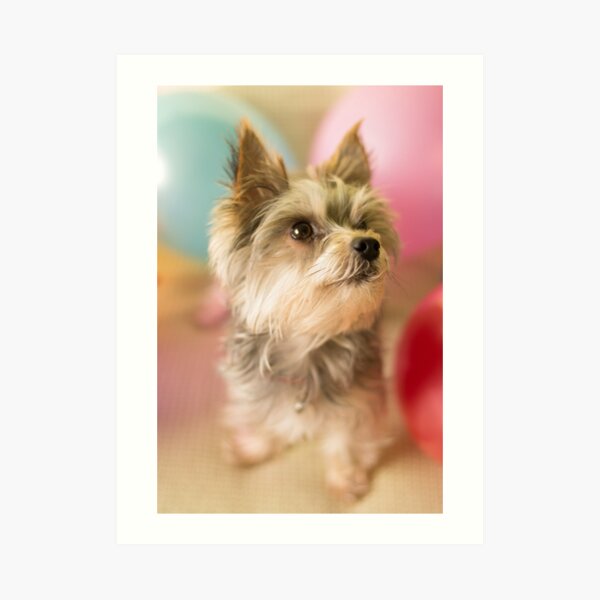 It's My Birthday! Art Print